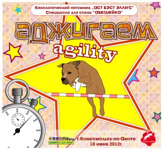 adjigaem-12