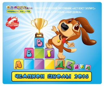 champion_abc_16